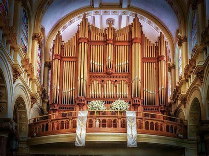 What are the organs of the church?