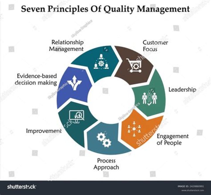 What are the principles of quality care?
