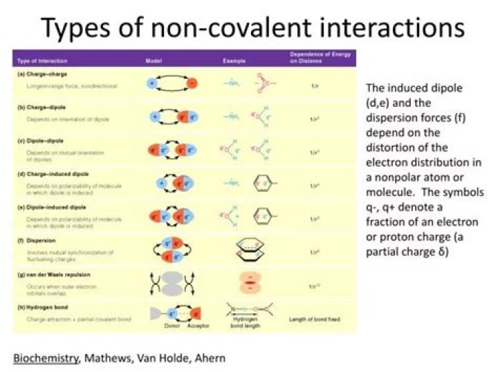 What are types of noncovalent interactions?