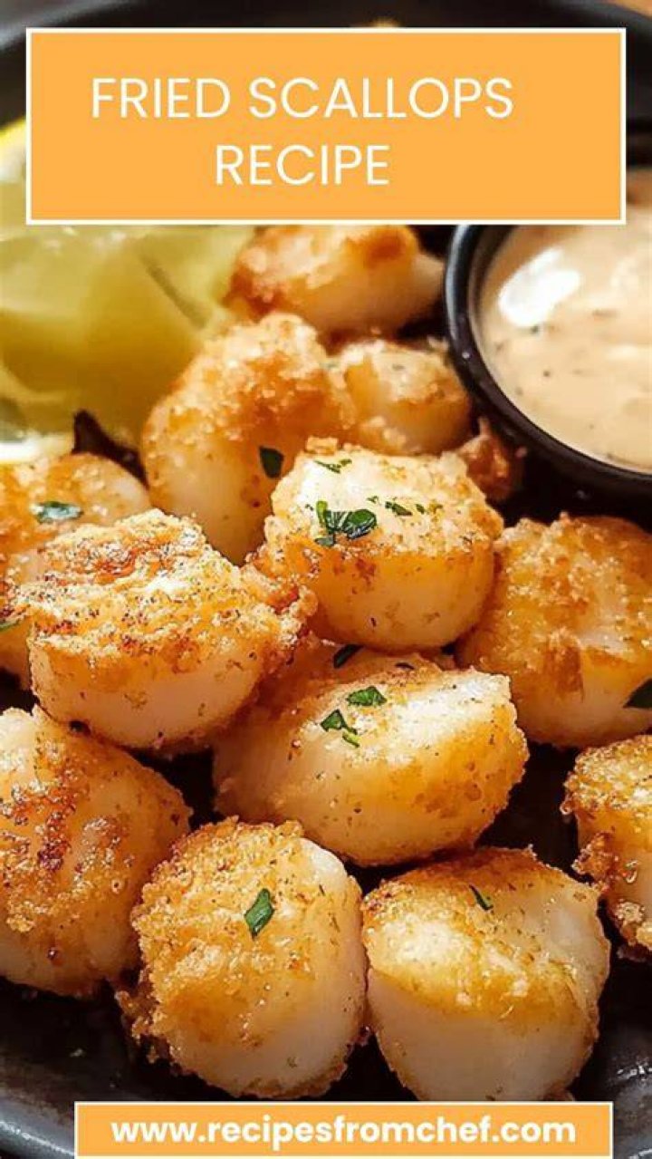 What are u8 scallops?