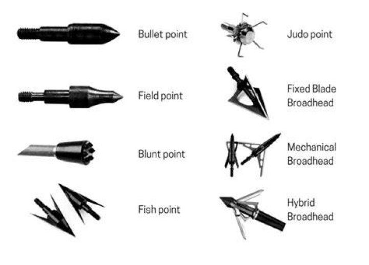 What broadheads are best for elk?