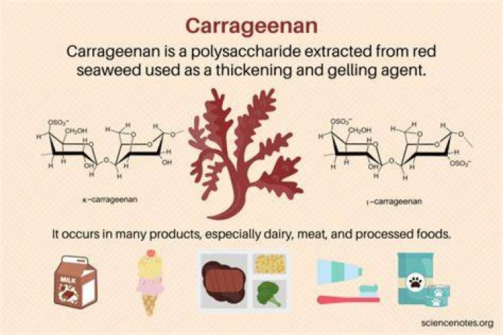 What Carrageenan is used for?