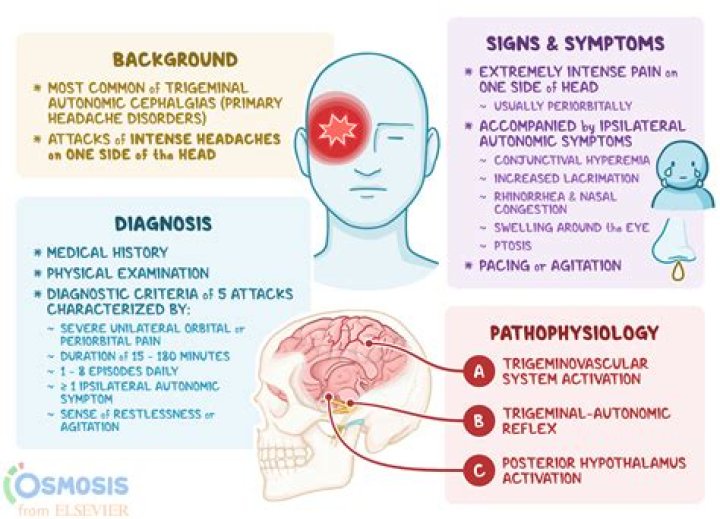 What causes trigeminal autonomic Cephalalgias?