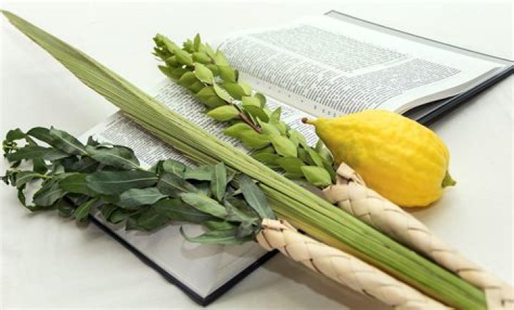 What do the 4 species of Sukkot represent?