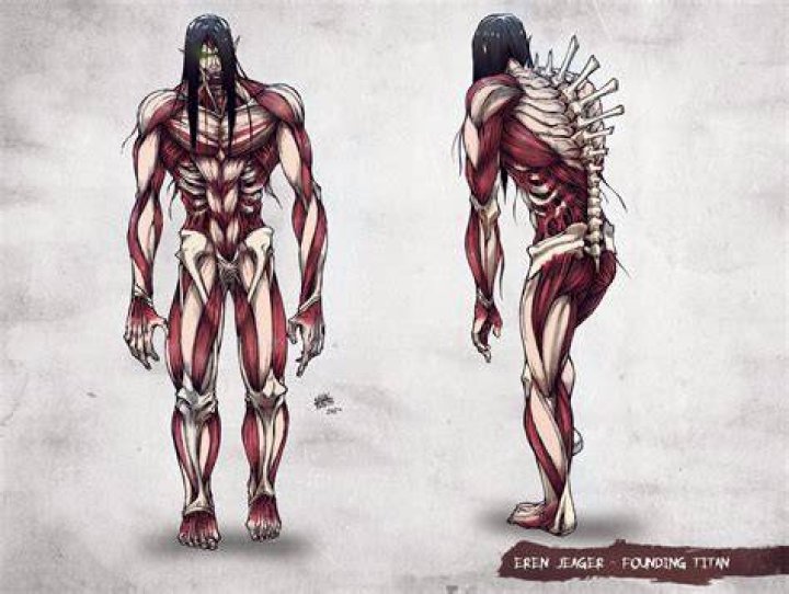 What do titan marks do?