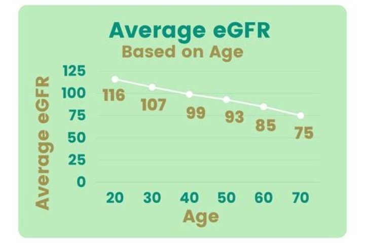 What does a high eGFR non African American mean?