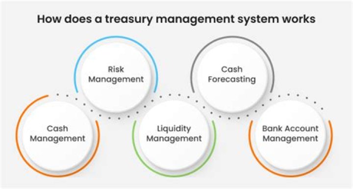 What does a treasury management system do?