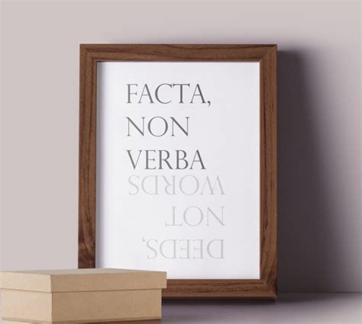 What does Facta Non Verba mean?