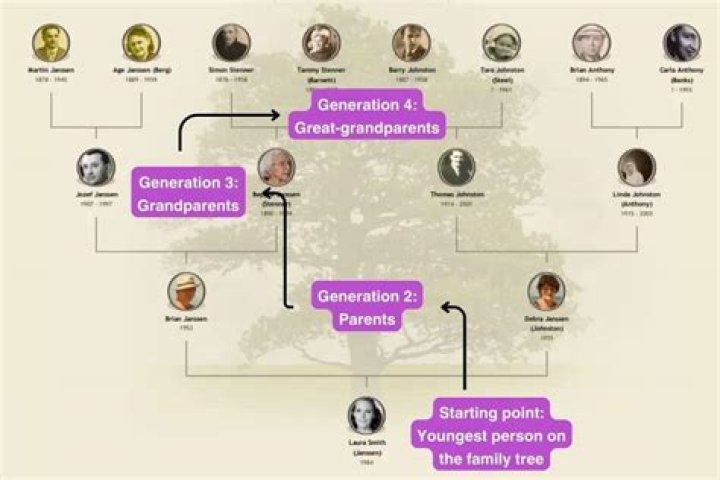 What does genealogy software do?