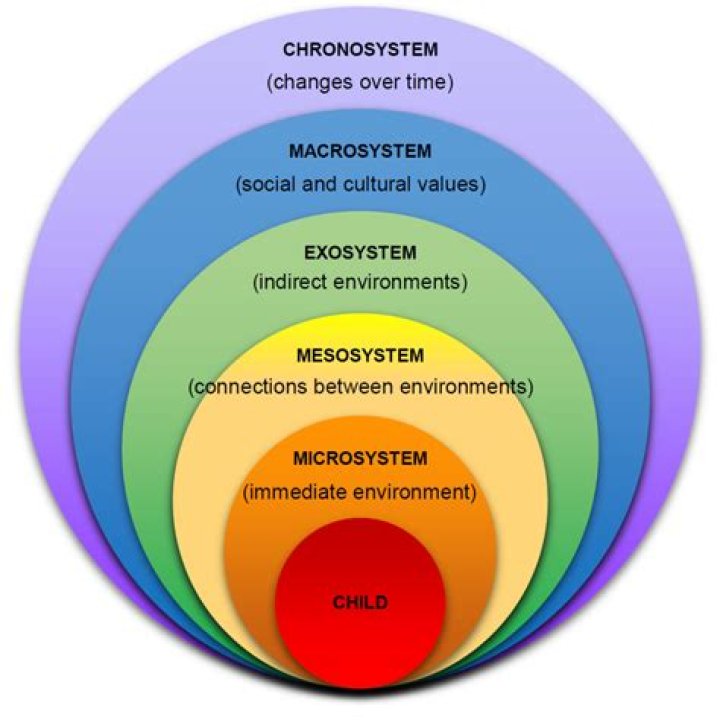 What does Leica Microsystems do?