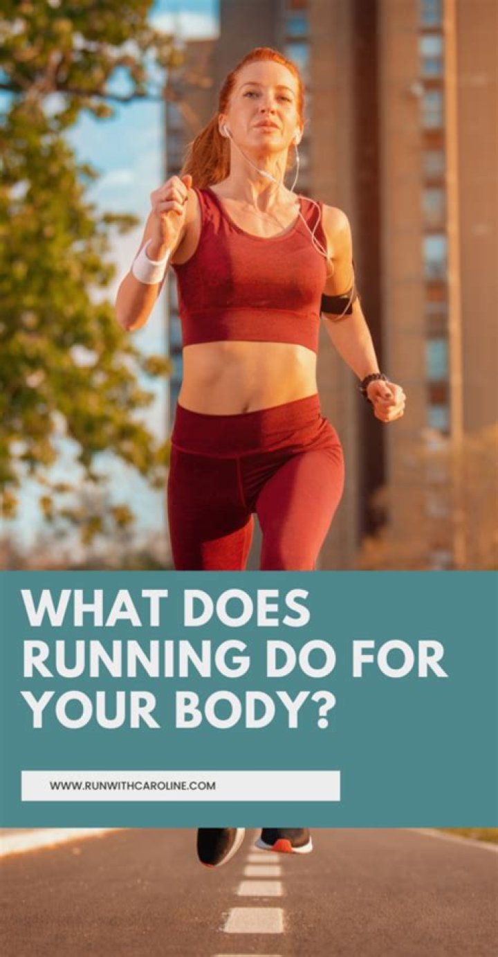 What does MSM do to your body?