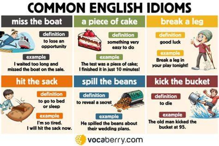 What does the idiom the big picture mean?