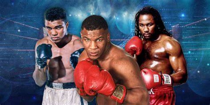 What does the perfect Boxer look like?