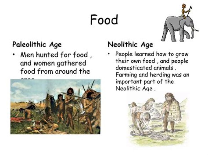 What food did the Paleolithic Age eat?