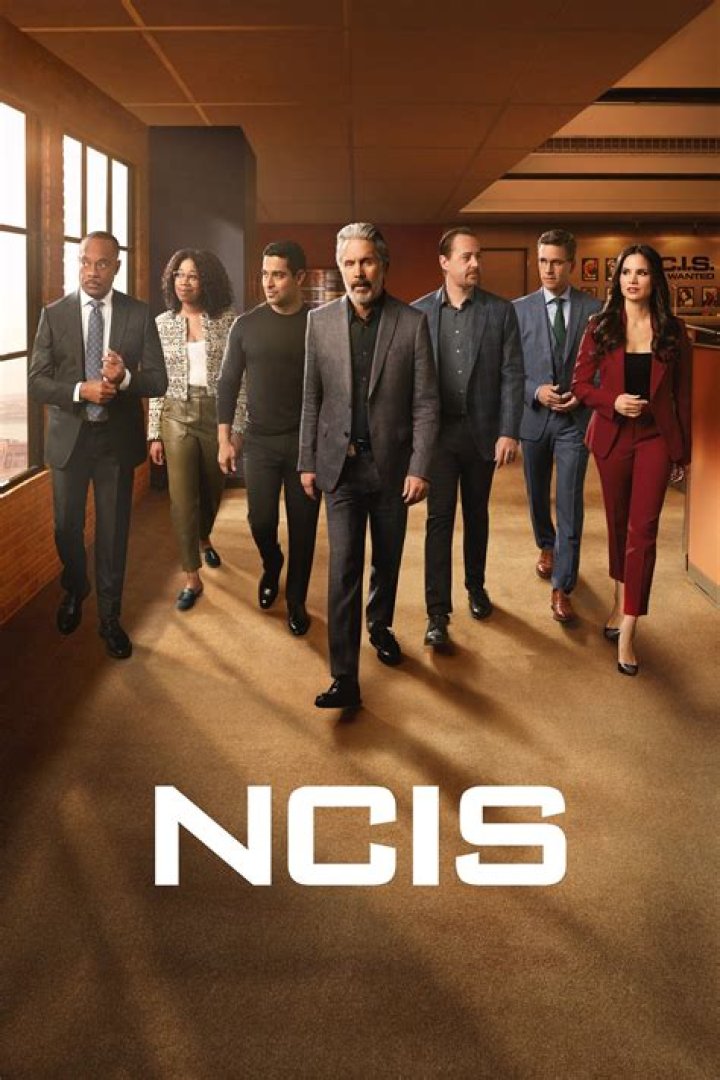 What happened to David Bellisario from NCIS?