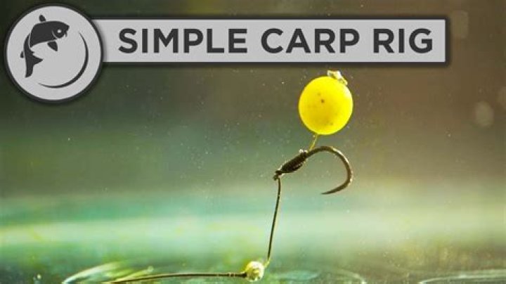What is a carp rig?