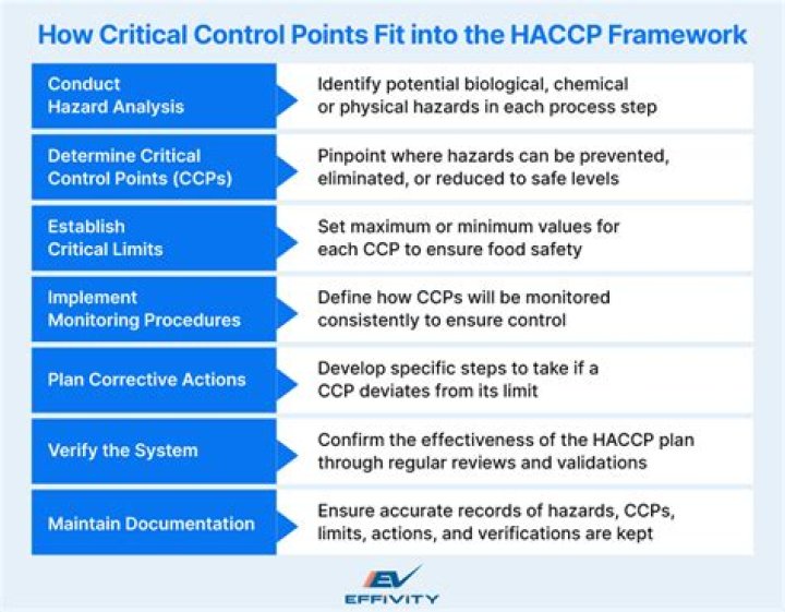 What is a CCP module?