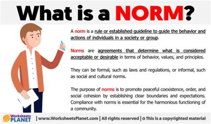 What is a norm simple definition?