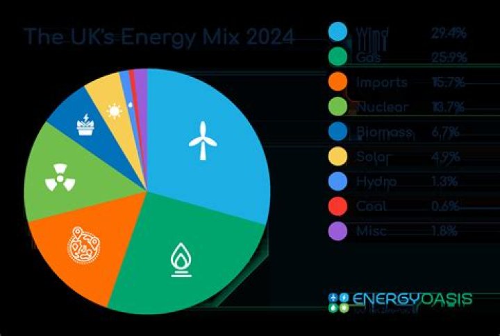 What is an electricity fuel mix?