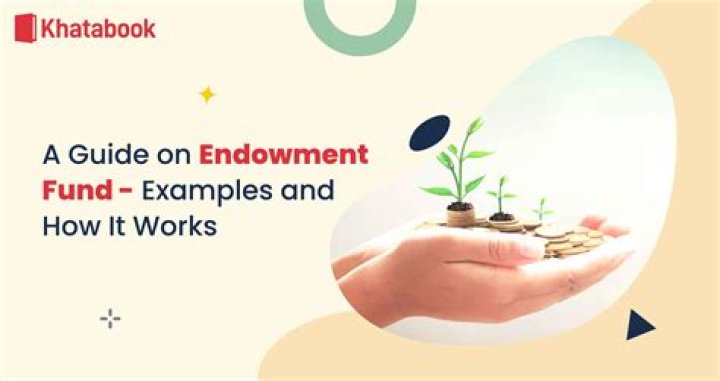 What is an NRA Endowment membership?