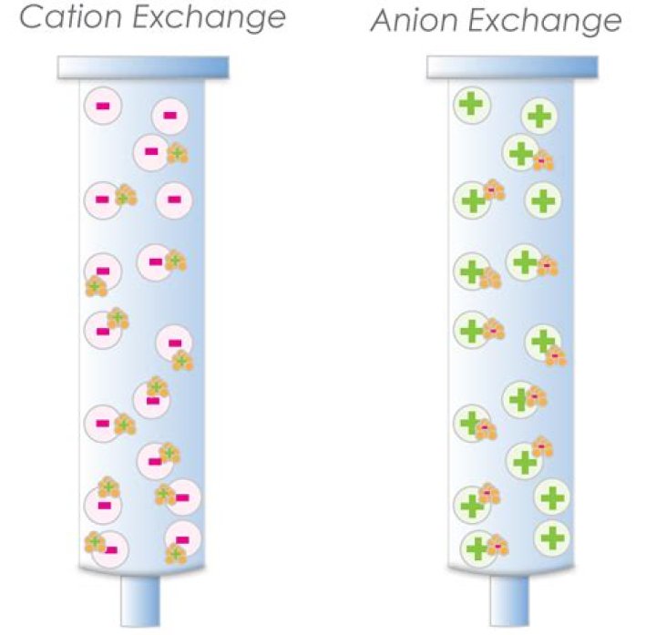 What is cation exchange resin give example?