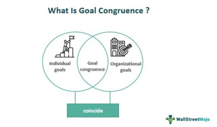 What is goal congruence in transfer pricing?