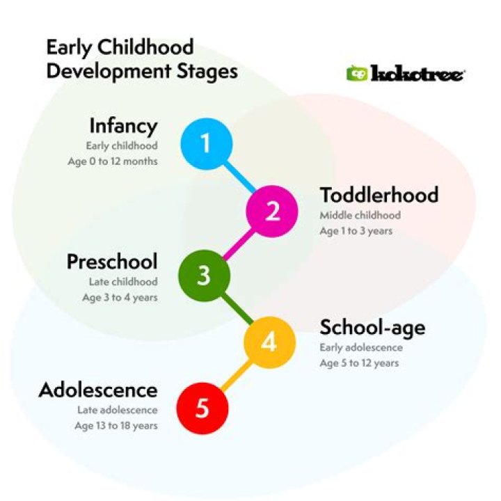 What is infancy and toddlerhood?
