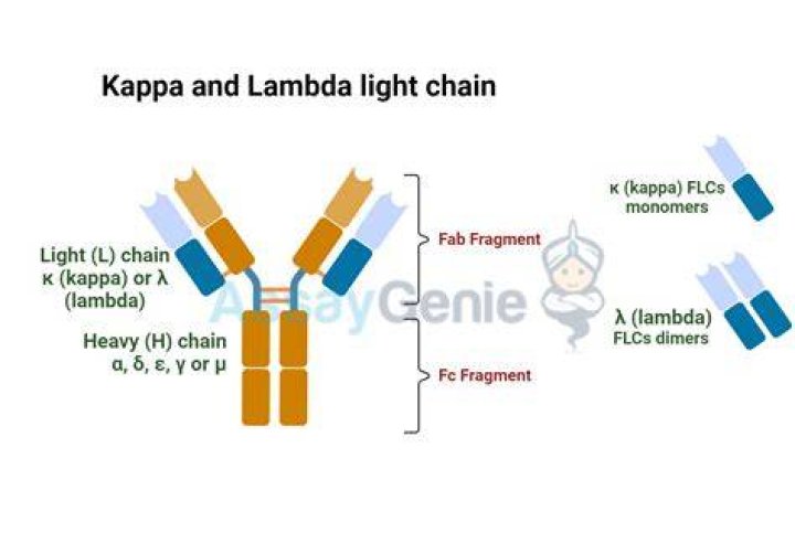What is Kappa Gamma known for?