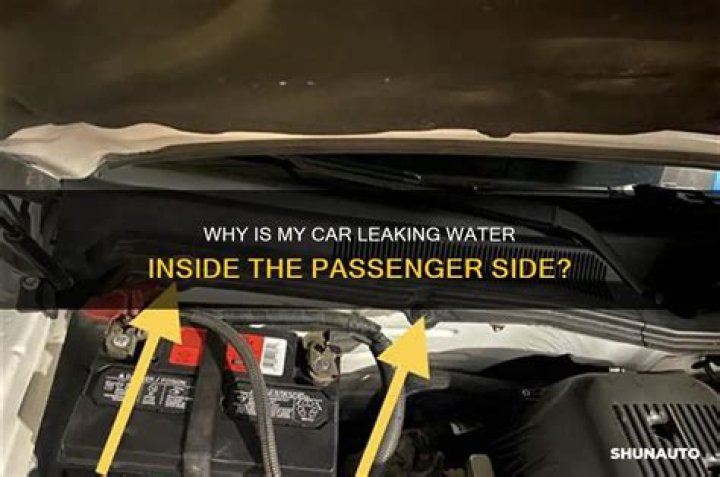 What is leaking under my car passenger side?