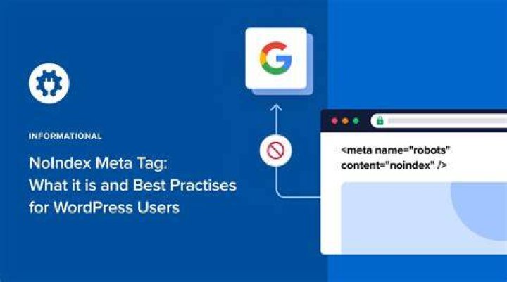 What is meta name robots content noindex?