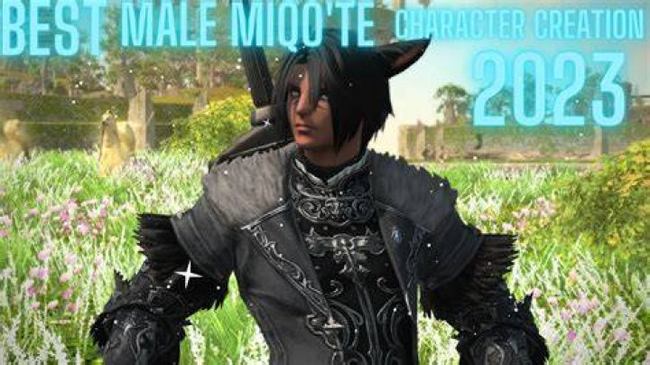 What is MIQO TE?