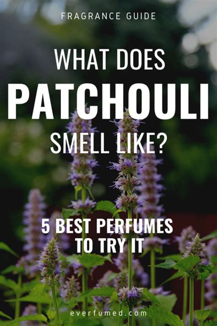 What is patchouli smell like?