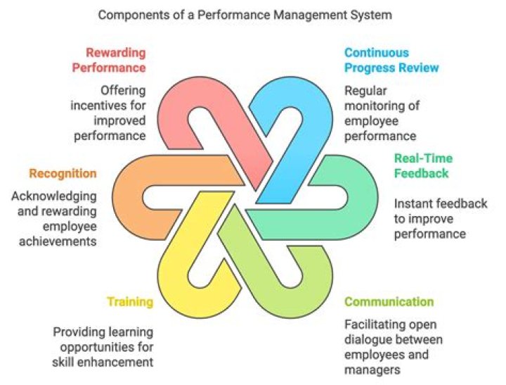 What is performance management system?