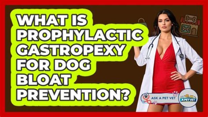What is prophylactic gastropexy?