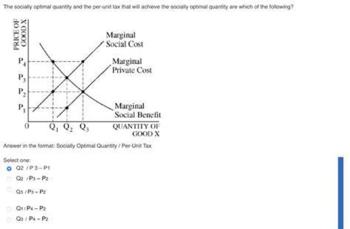 What is social optimal quantity?