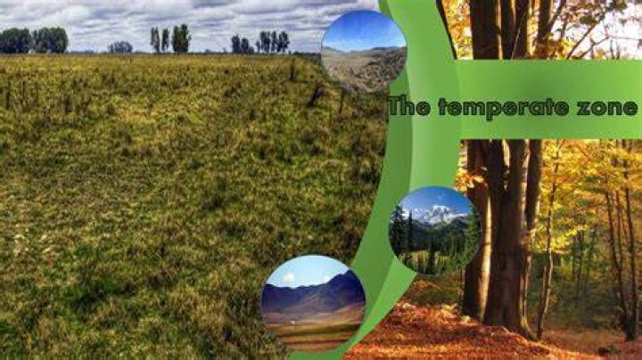 What is sub temperate zone?