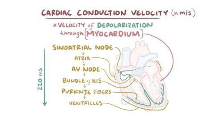 What is supernormal conduction?