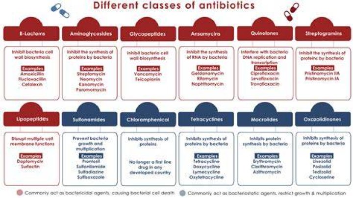 What is the best antibiotic for anaerobic bacteria?