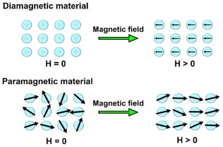 What is the best diamagnetic material?