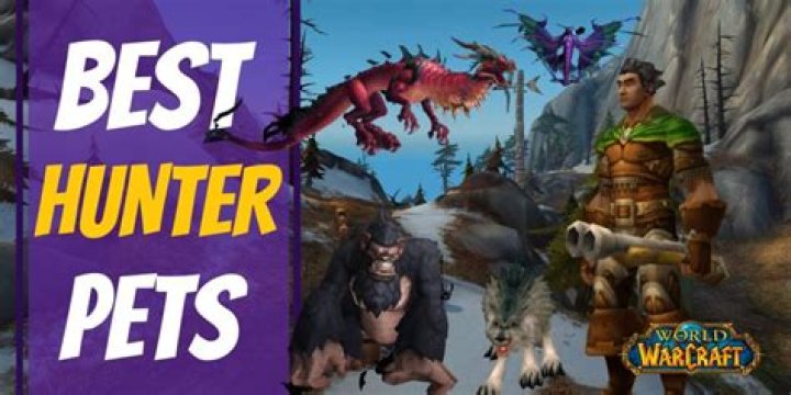 What is the best pet for Hunter?