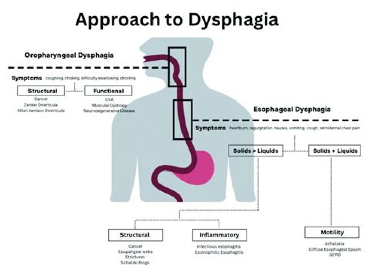 What is the functional dysphagia scale?
