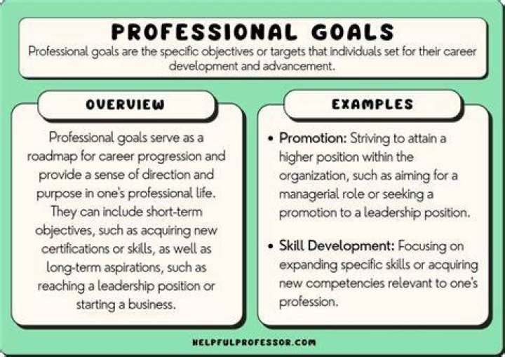 What is the goal of professional organizations?
