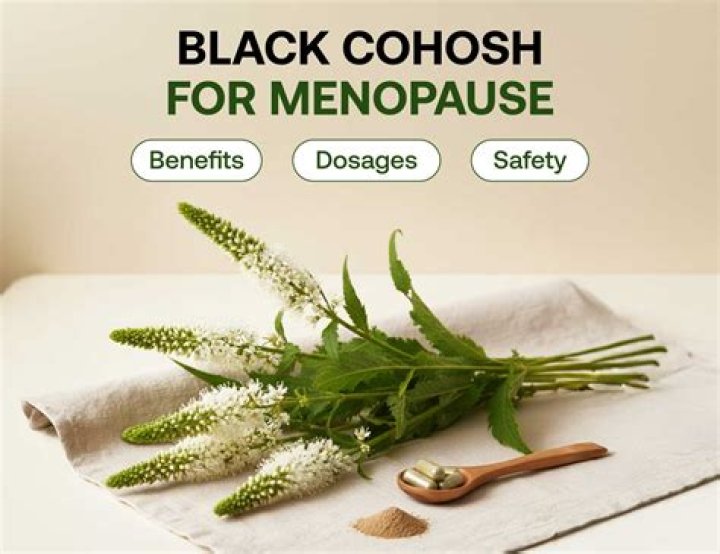 What is the herb black cohosh used for?