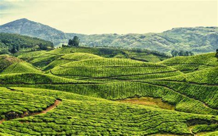 What is the landscape of India?