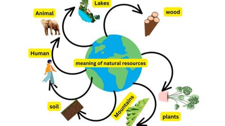 What is the meaning of a coulee?