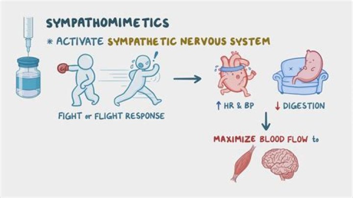 What is the mechanism of action of sympathomimetics?
