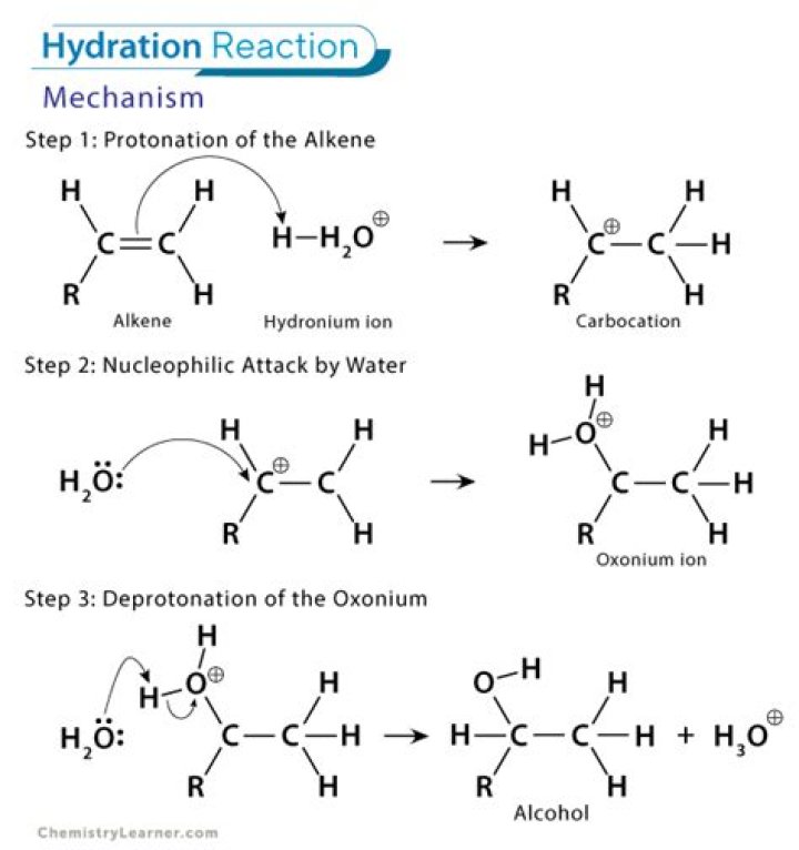 What is the mechanism of dehydration of alcohol?
