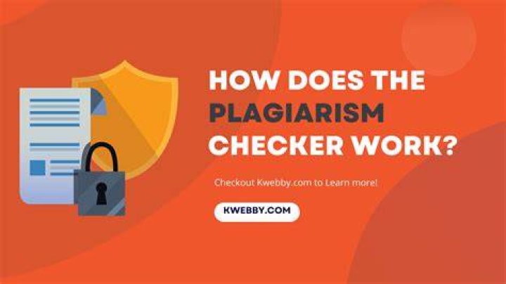 What is the online plagiarism checker and how does it work?