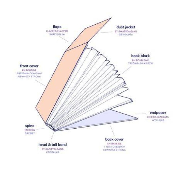 What is the paper on the inside of a book cover called?
