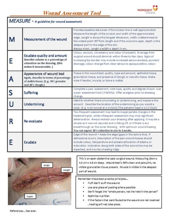 What is the photographic wound assessment tool?